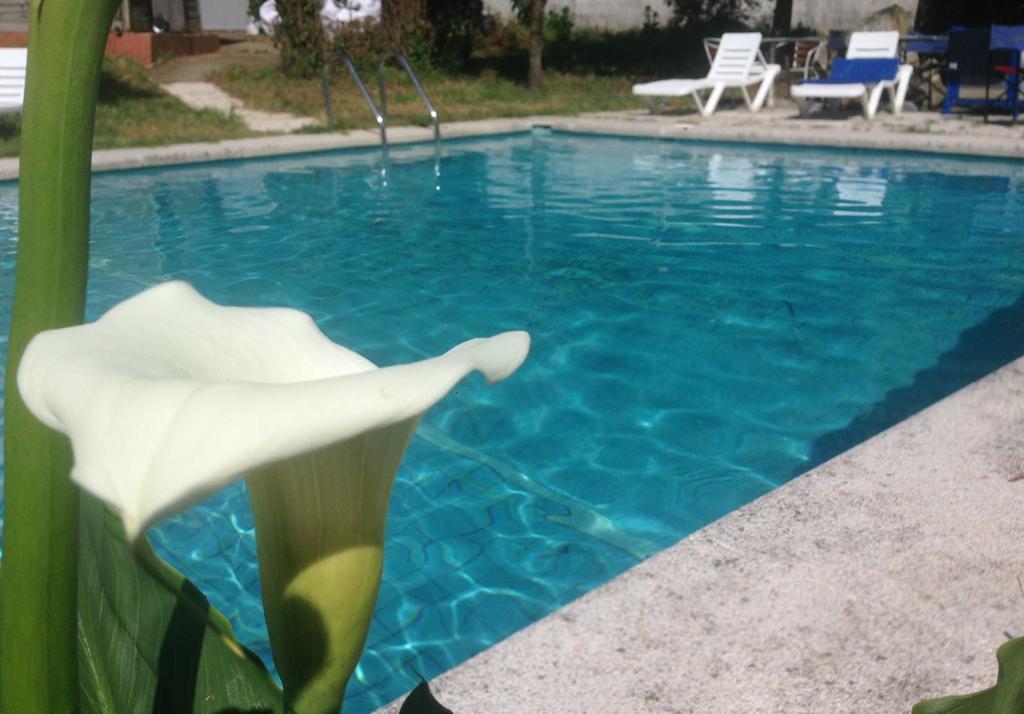 Hotel Vida Playa Paxarinas ปอร์โตโนโว ภายนอก รูปภาพ